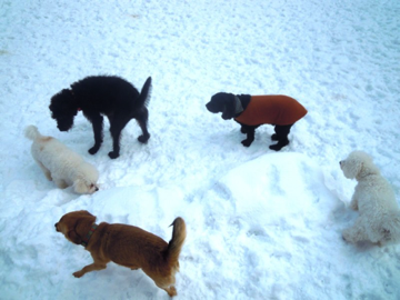 Snow day